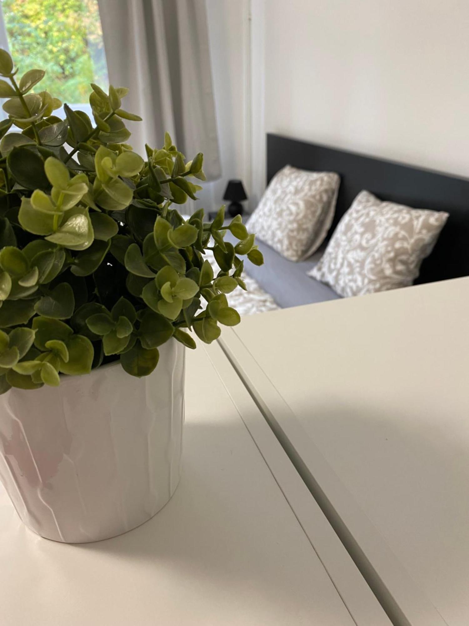 Guest Apartment